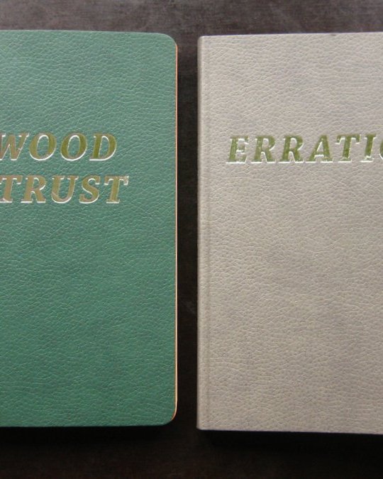 In Wood we trust & Erratique