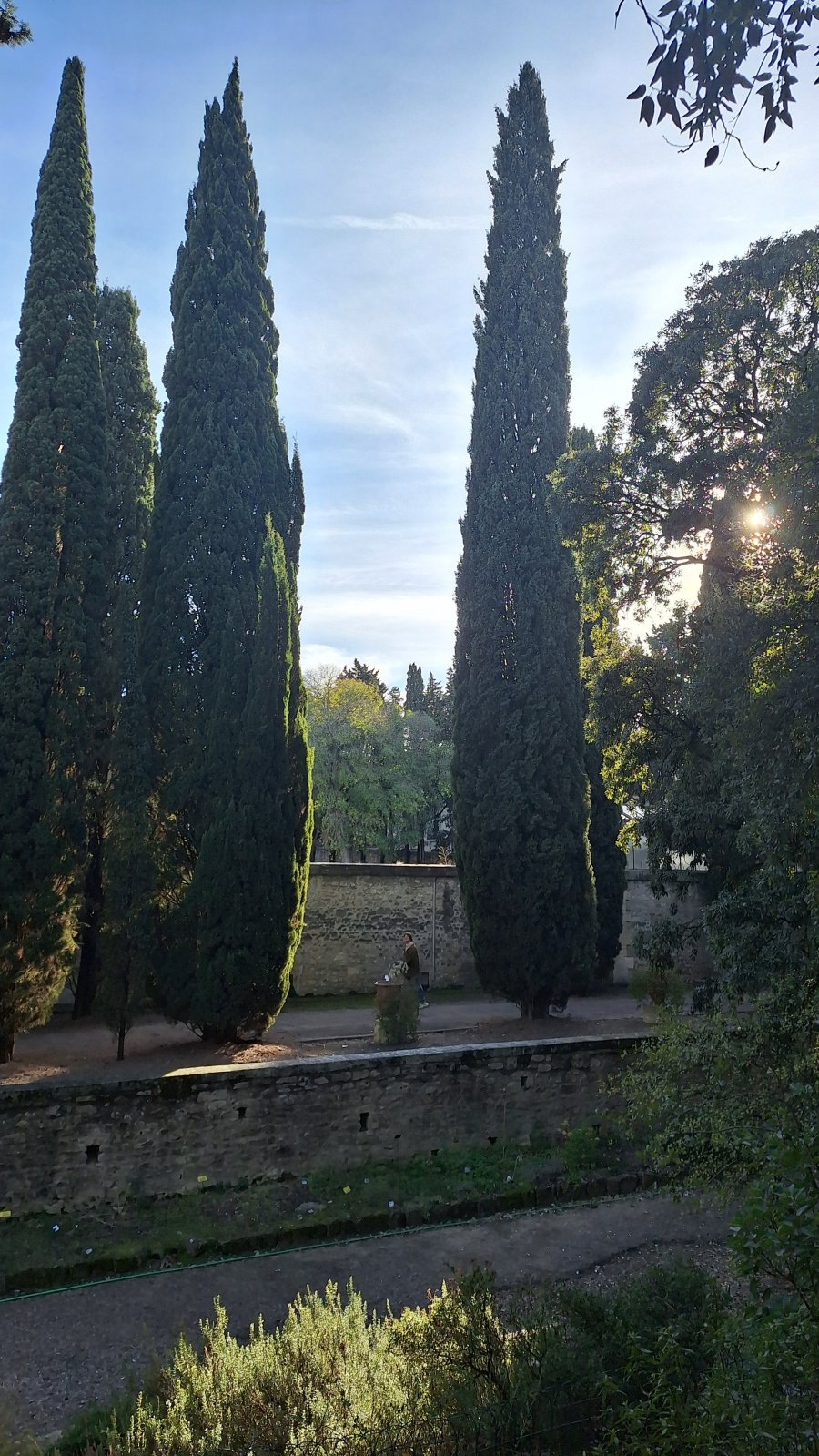 Rhony’s Festival ! image 6