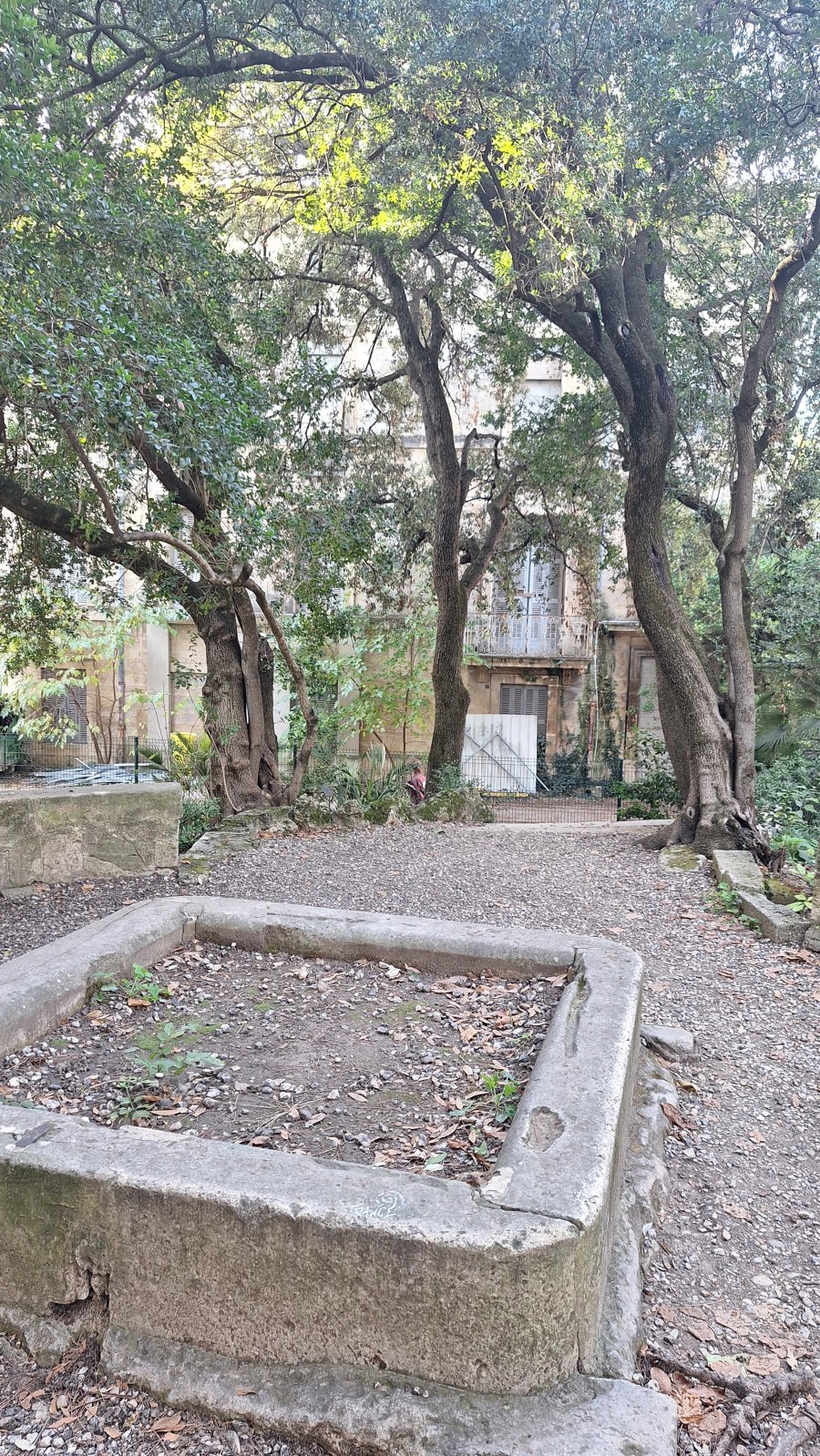 Rhony’s Festival ! image 7